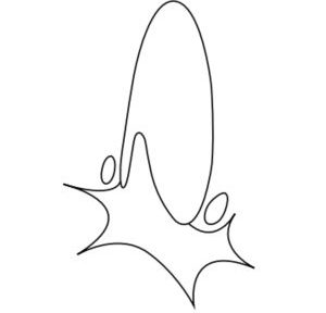 proliferating sense organs | perception, communication, interaction